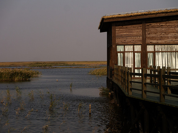 Dongtan Wetlands, Chongming Island