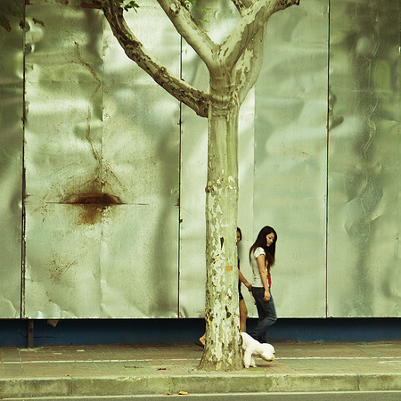 Walk the dog, Shanghai