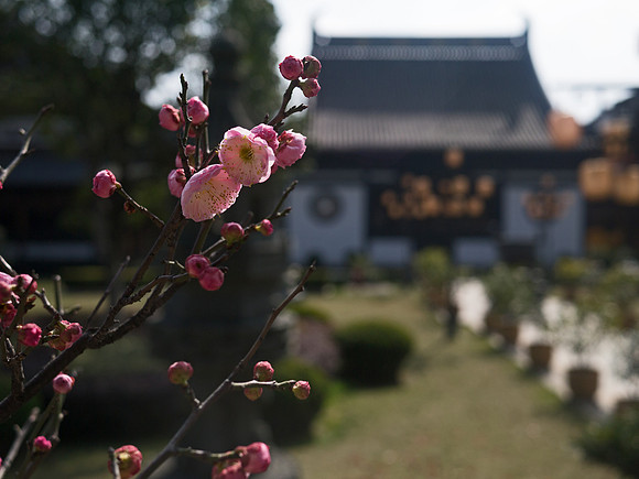 Zhenru Temple, Shanghai