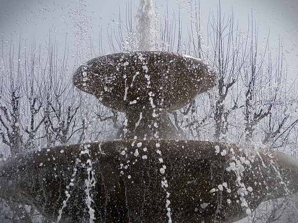 Spring Splash, People's Park