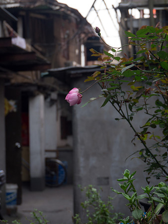 The beauty of Old Town