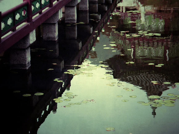 Reflection