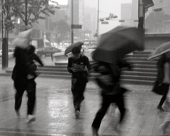 Thunder Shower
